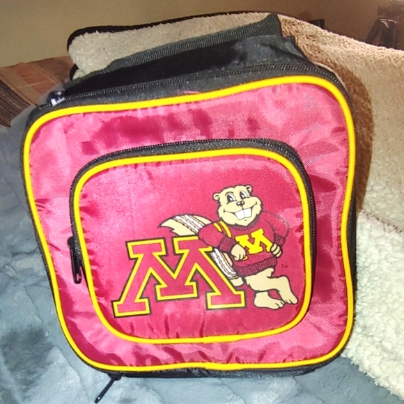 Two (2) Minnesota Gophers Baseball Hats and One (1) Soft Lunch Box/Bag. - Picture 8 of 15